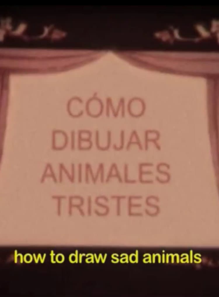How to Draw Sad Animals or Notebook of All the Living and Dead Things That I Imagined the Night You Went Away Forever backdrop