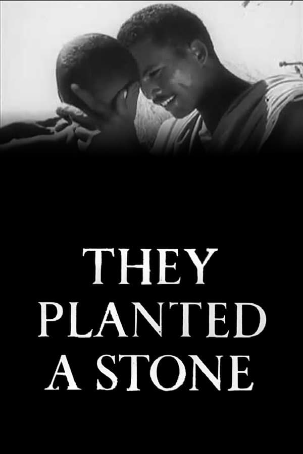 They Planted a Stone backdrop