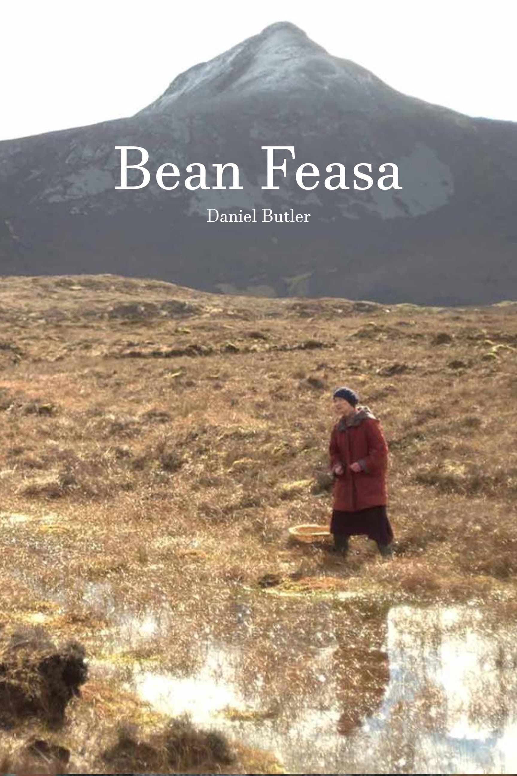 Bean Feasa backdrop