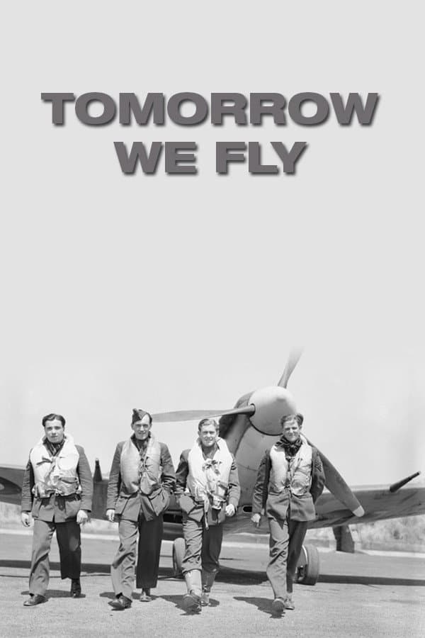 Tomorrow We Fly backdrop