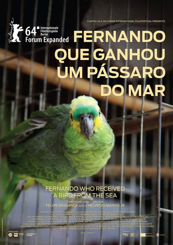 Fernando Who Received a Bird from the Sea backdrop