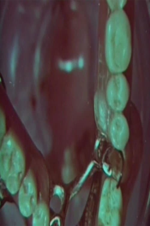 Macrozoom backdrop
