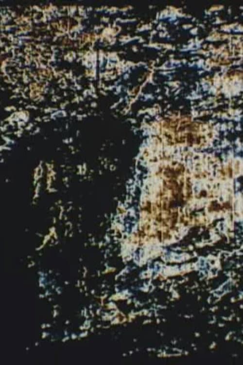 Two Pictures backdrop