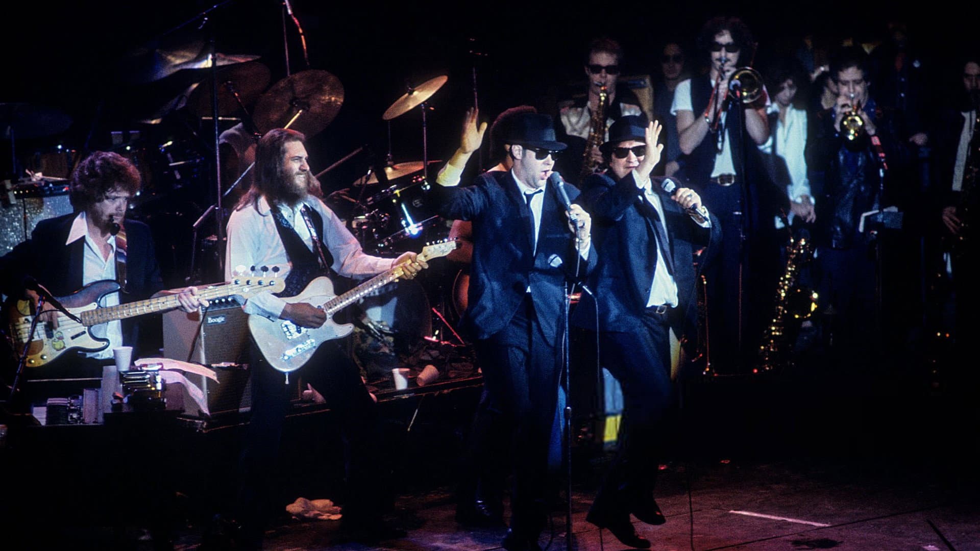 The Blues Brothers Live at Winterland backdrop