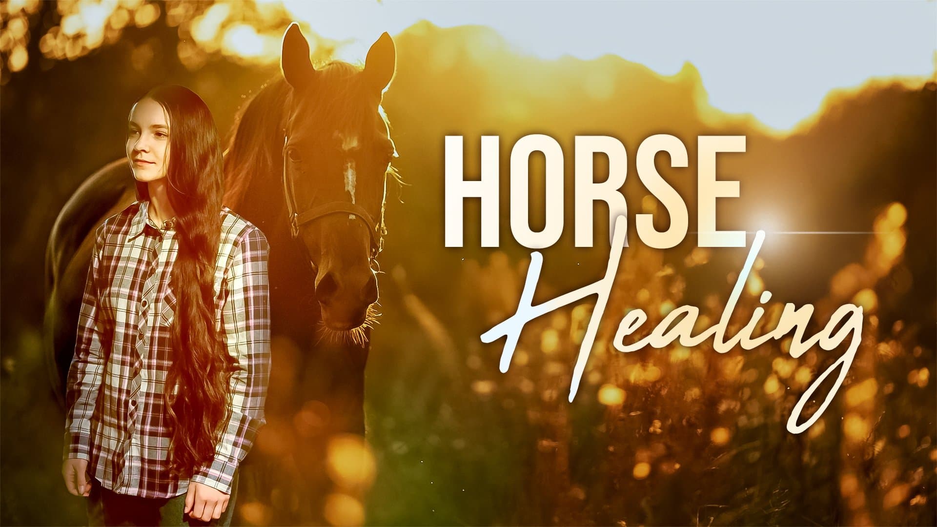 Horse Healing backdrop