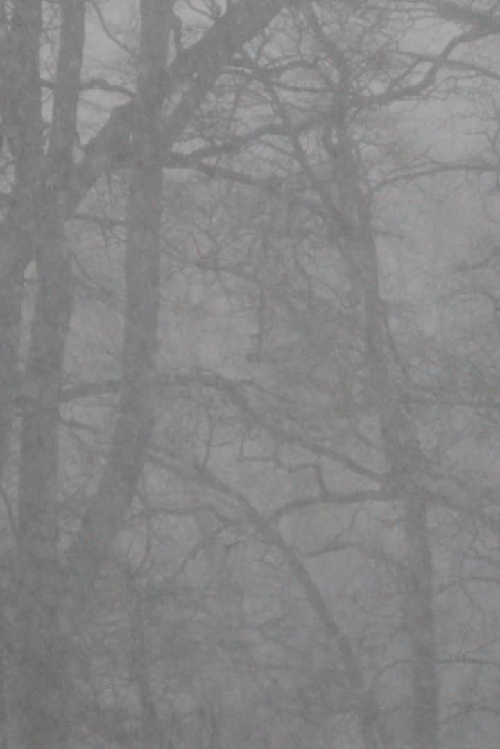 Snowfall and After backdrop