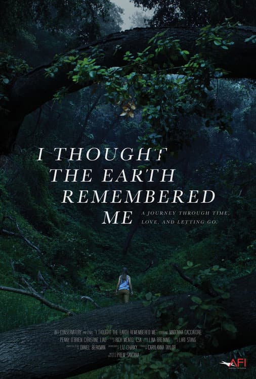 I Thought the Earth Remembered Me backdrop