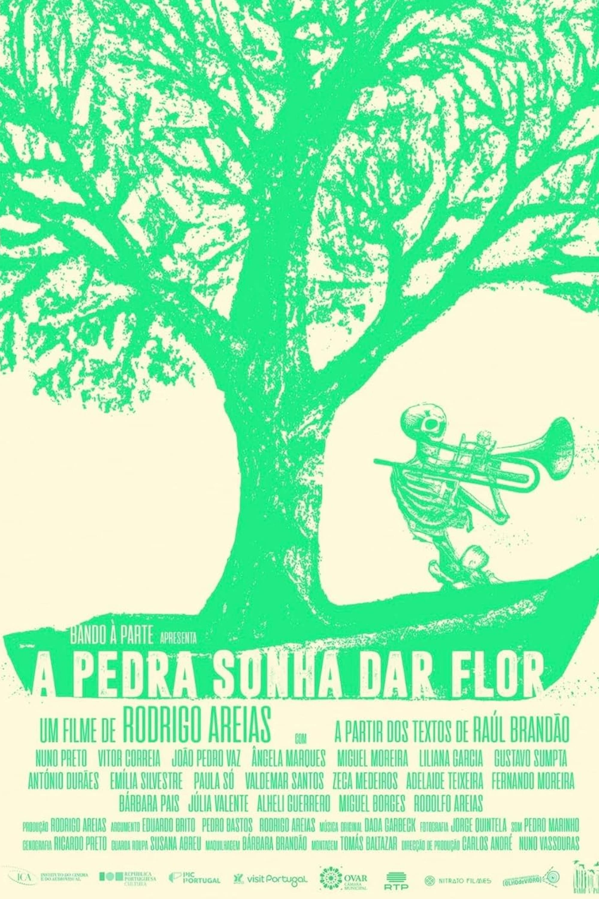 A Pedra Sonha Dar Flor backdrop