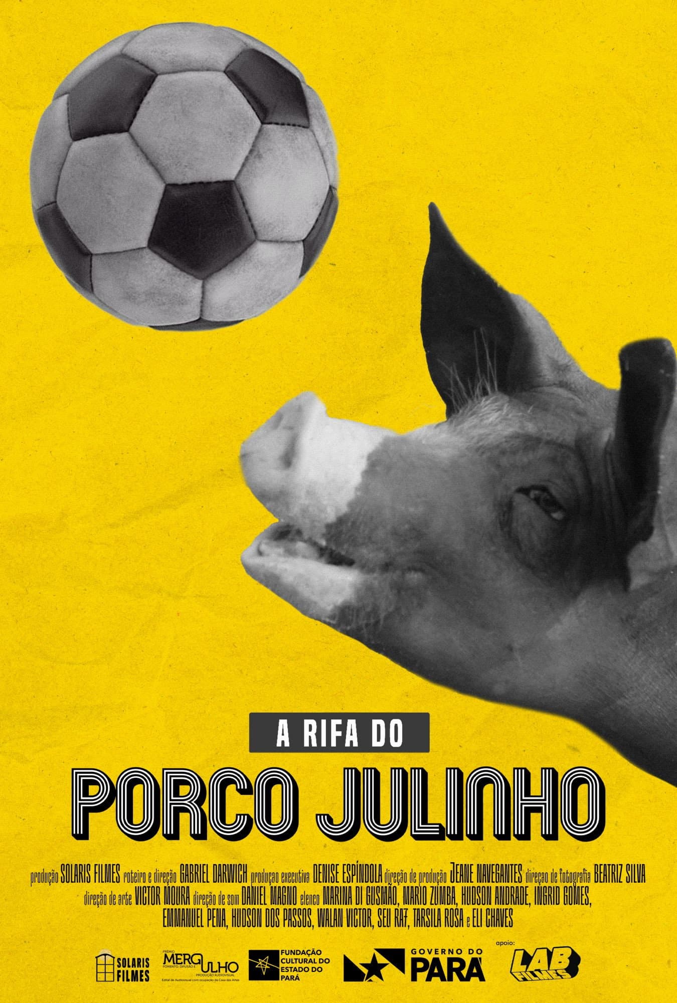 A rifa do porco Julinho backdrop