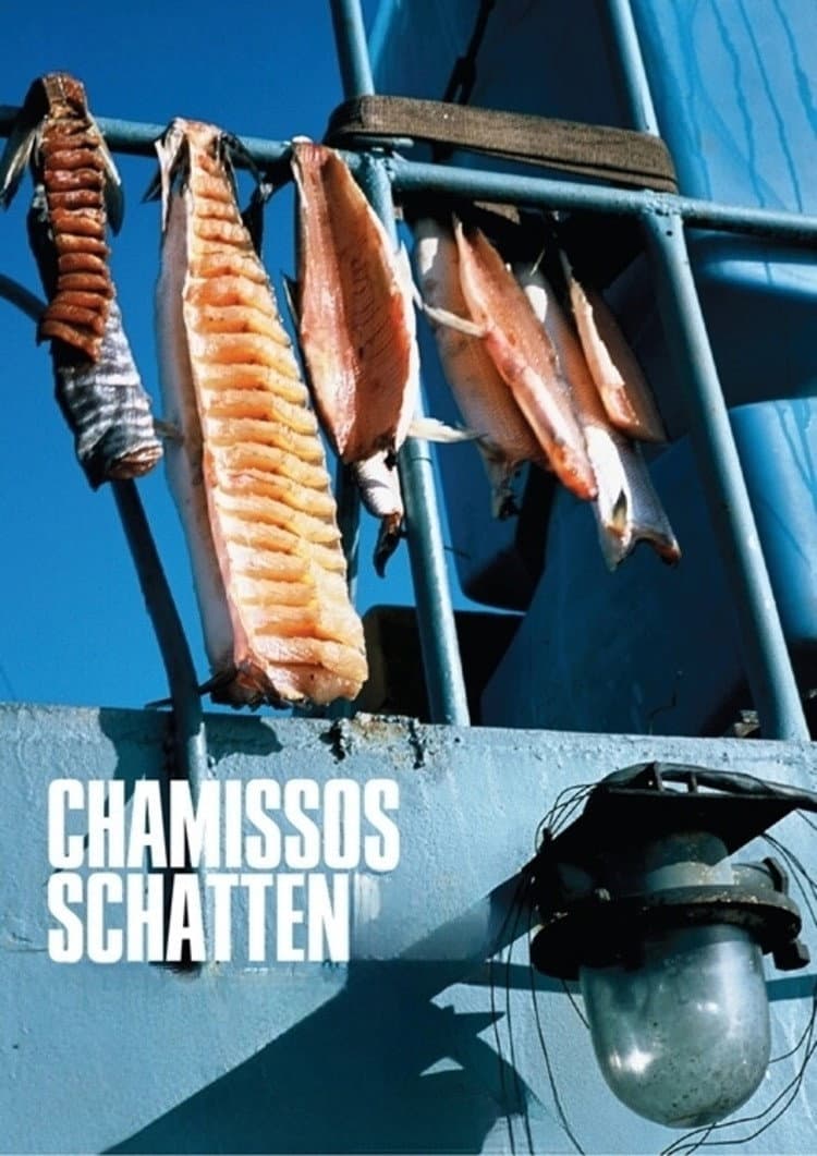 Chamisso’s Shadow backdrop