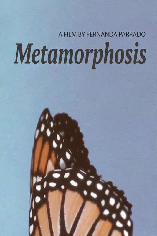 Metamorphosis backdrop