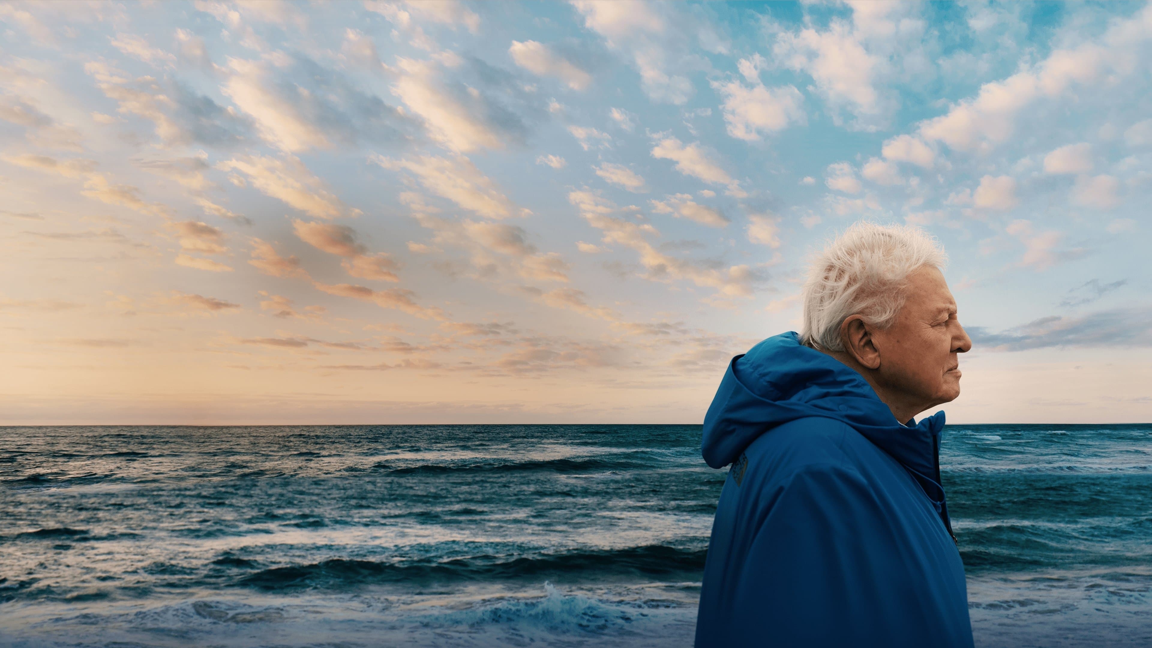 Ocean with David Attenborough backdrop