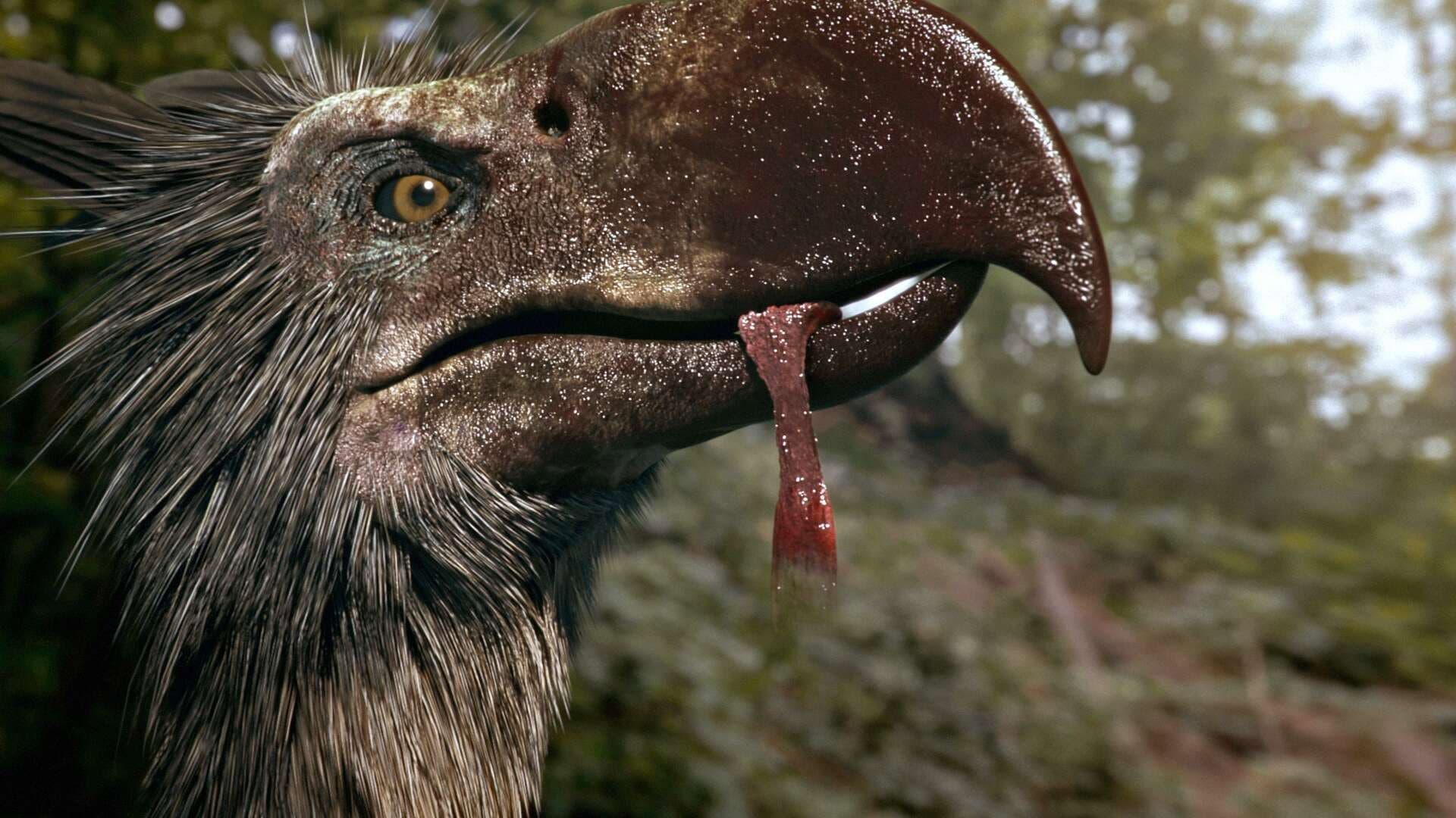 Top Ten Deadliest Beasts backdrop