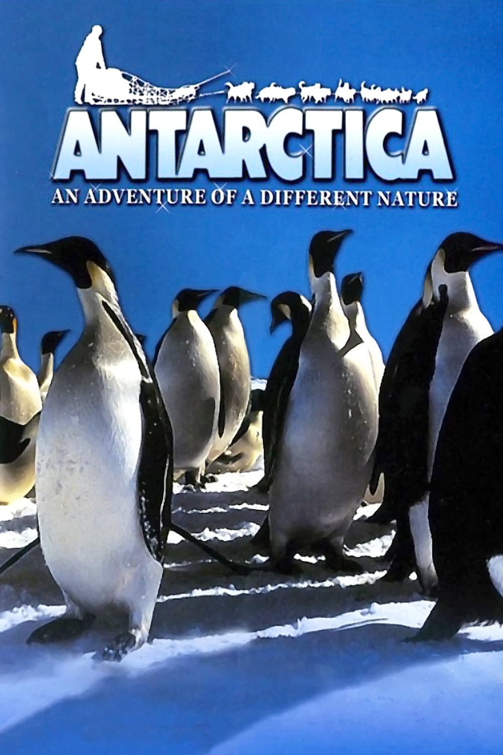 Antarctica: An Adventure of a Different Nature backdrop