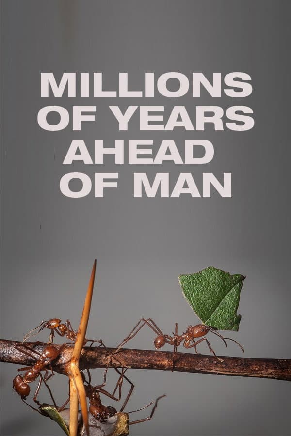 Millions of Years Ahead of Man backdrop