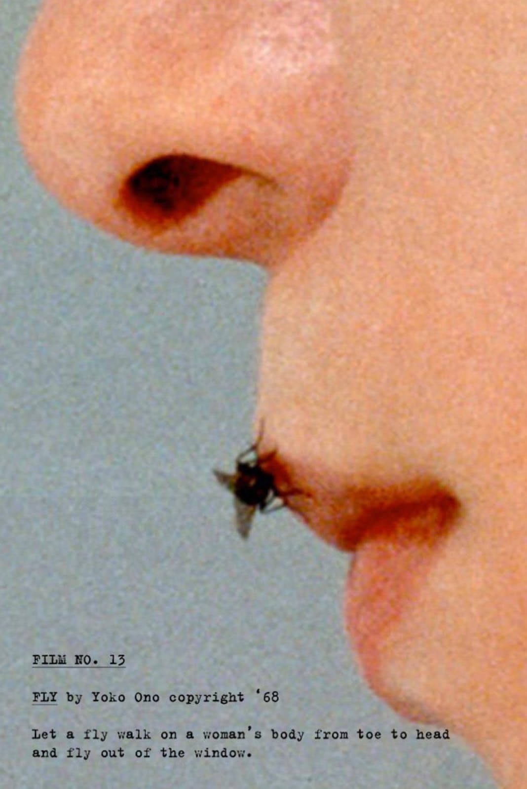 Fly backdrop