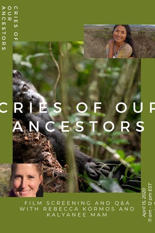 Cries of Our Ancestors backdrop
