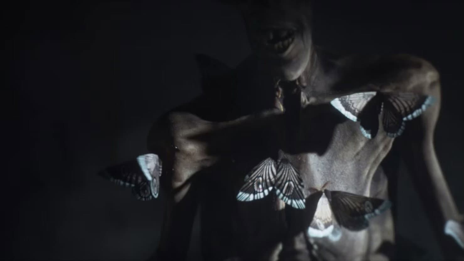 Moths backdrop
