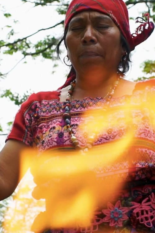 Fuego Sagrado backdrop