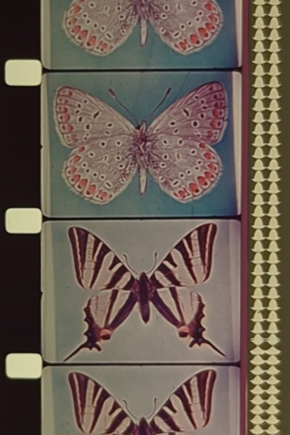 Triptych backdrop