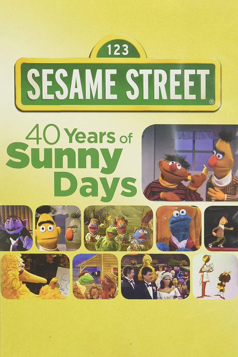 Sesame Street: 40 Years of Sunny Days backdrop