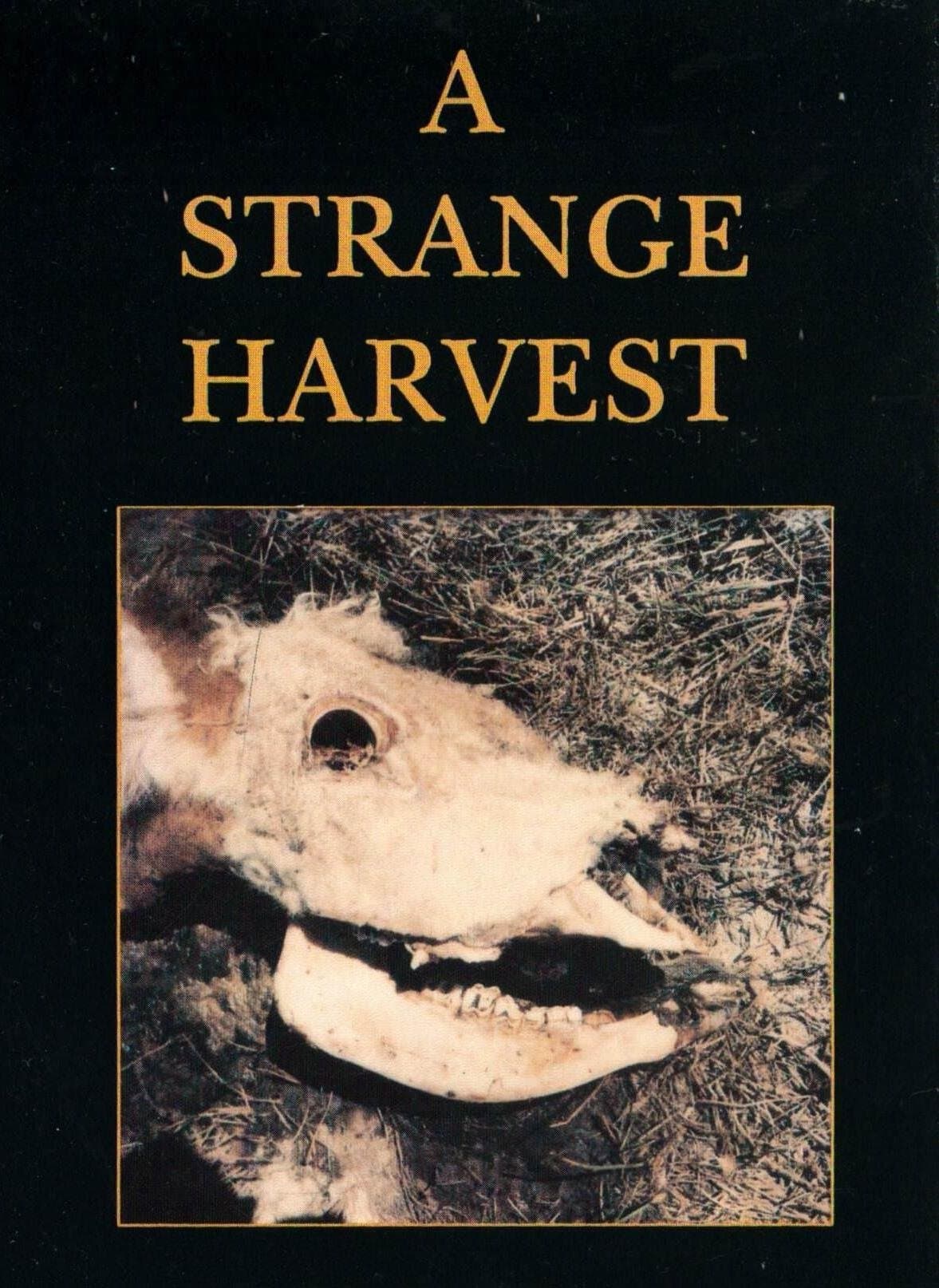 A Strange Harvest backdrop