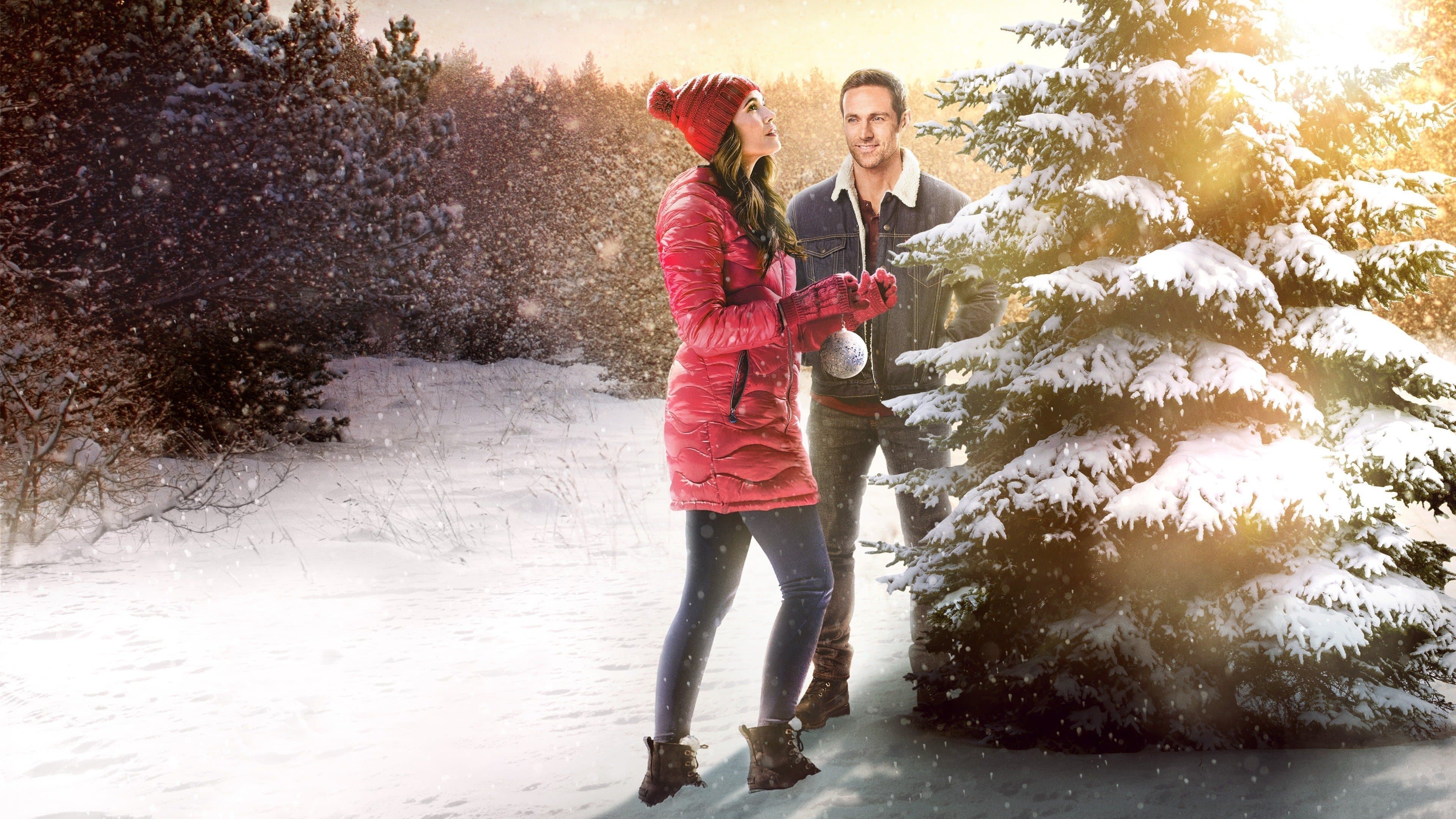 The Christmas Promise backdrop
