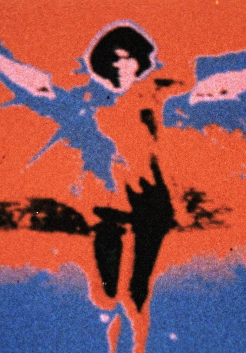 Fly backdrop