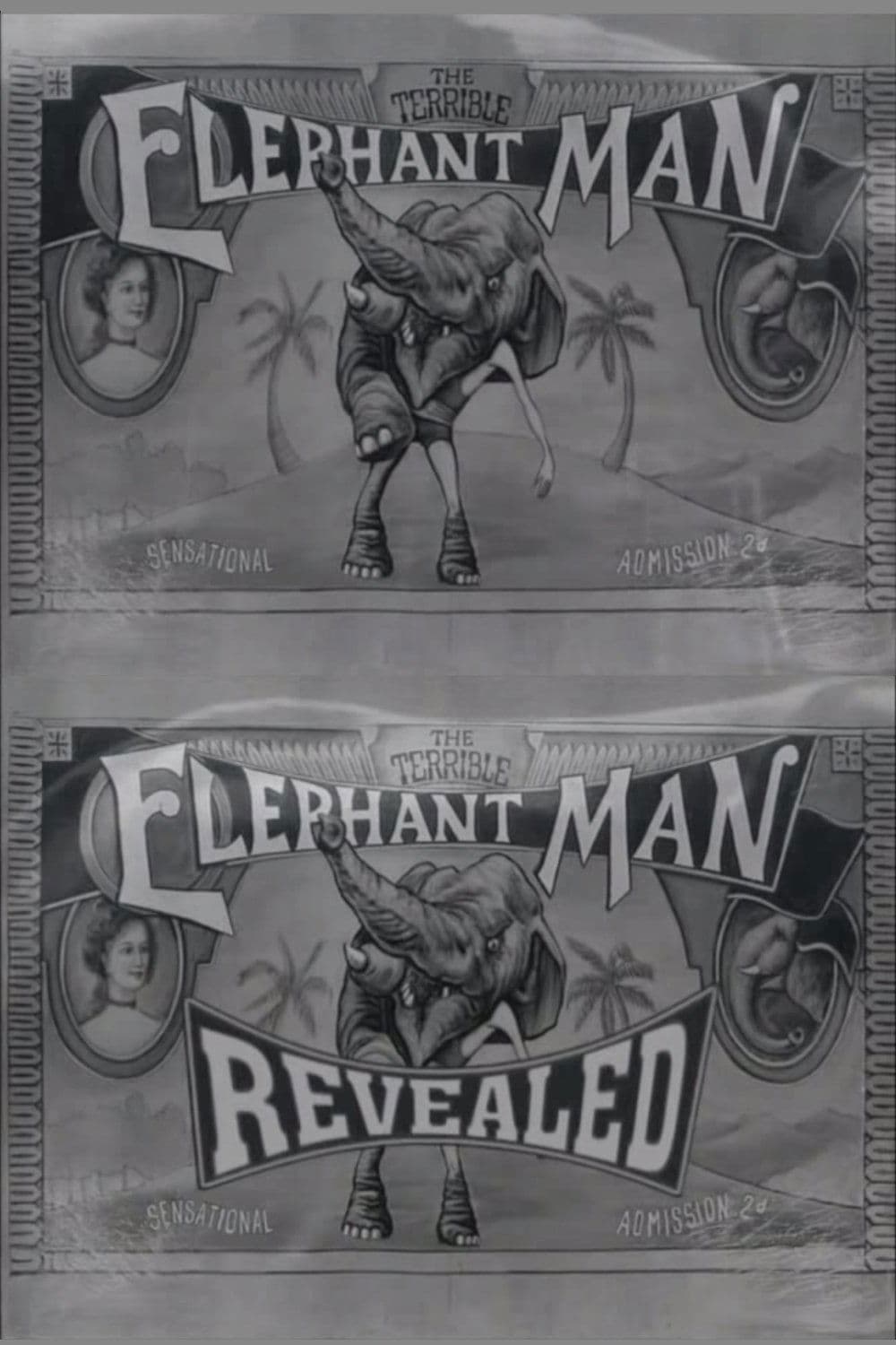 The Terrible Elephant Man Revealed backdrop