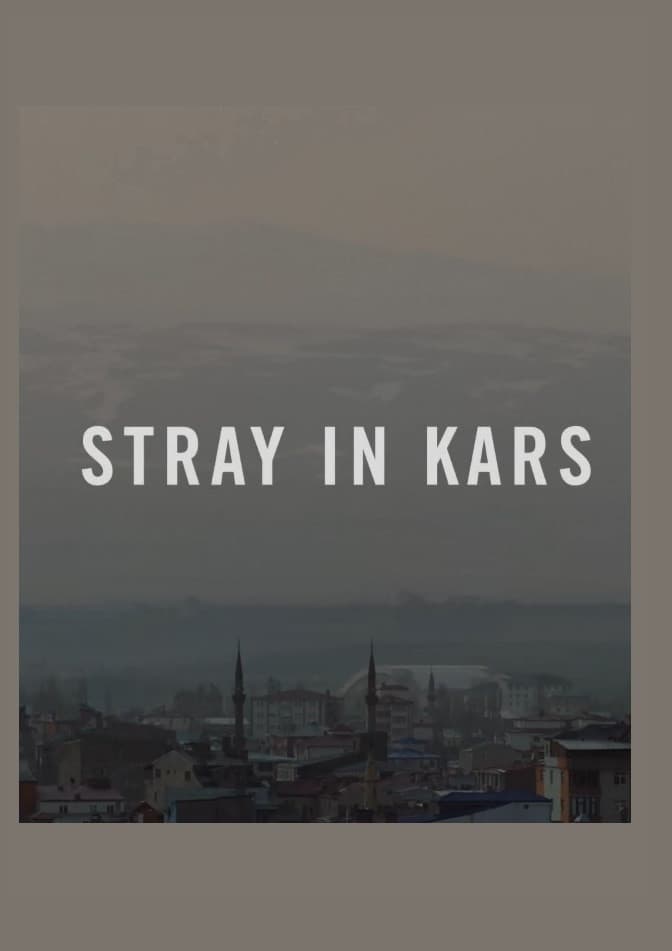 Stray in Kars backdrop
