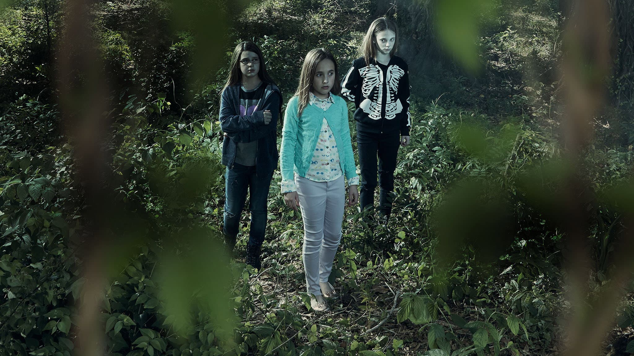 Terror in the Woods backdrop