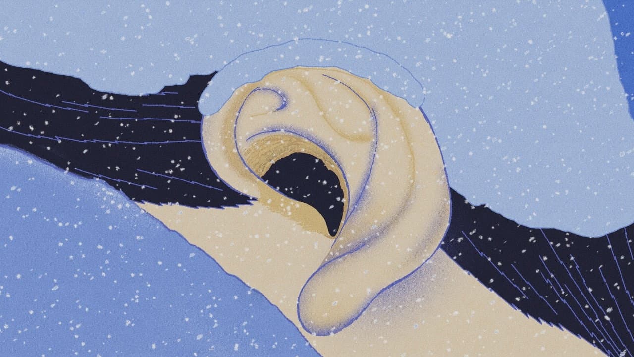 Into the Ear, Everybody backdrop