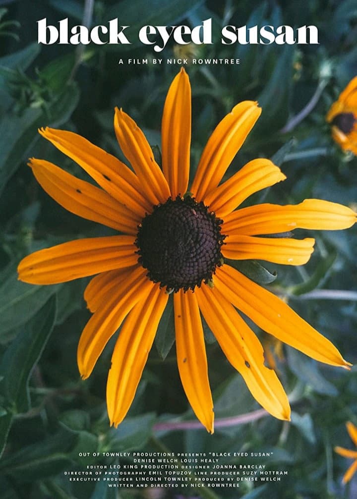 Black Eyed Susan backdrop