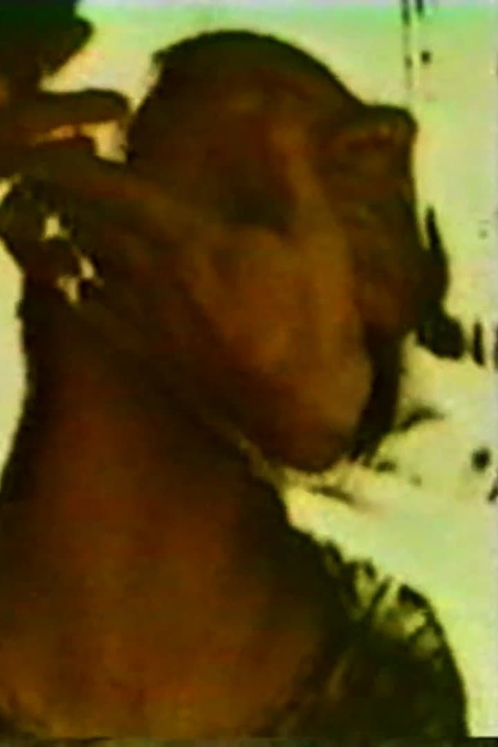 Razor Head backdrop
