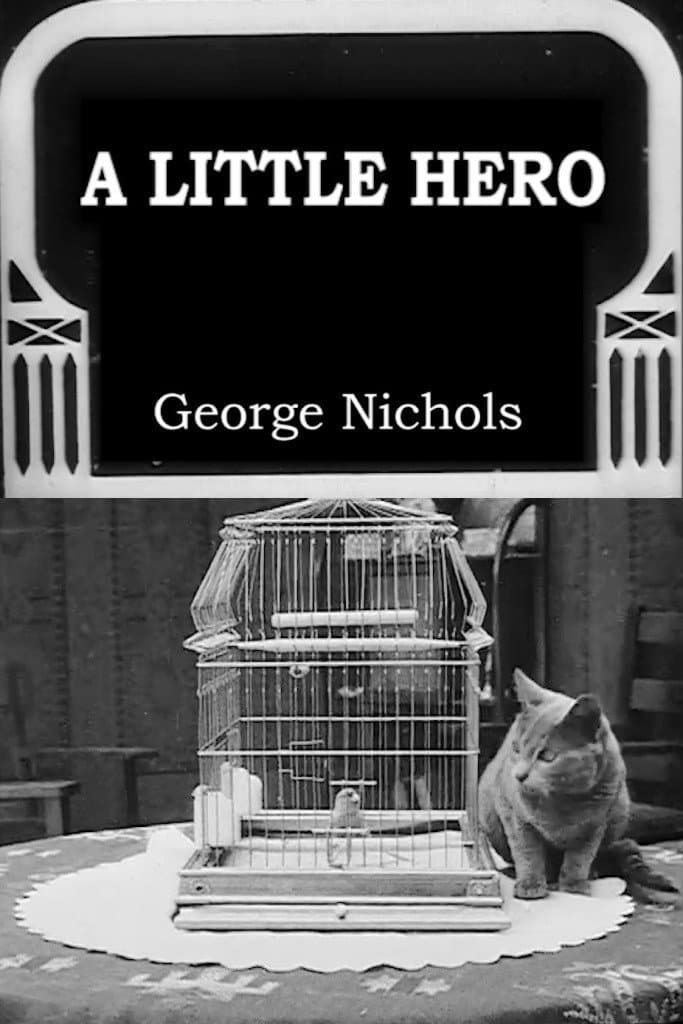 A Little Hero backdrop