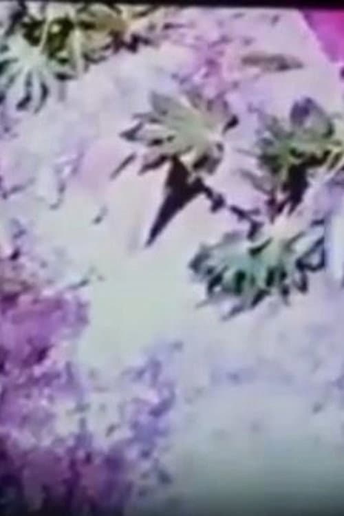 Prehistoric Caveman backdrop