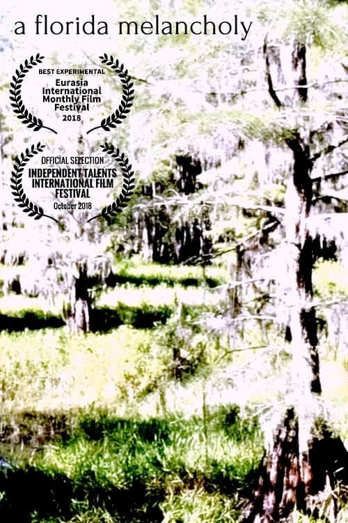 A Florida Melancholy backdrop