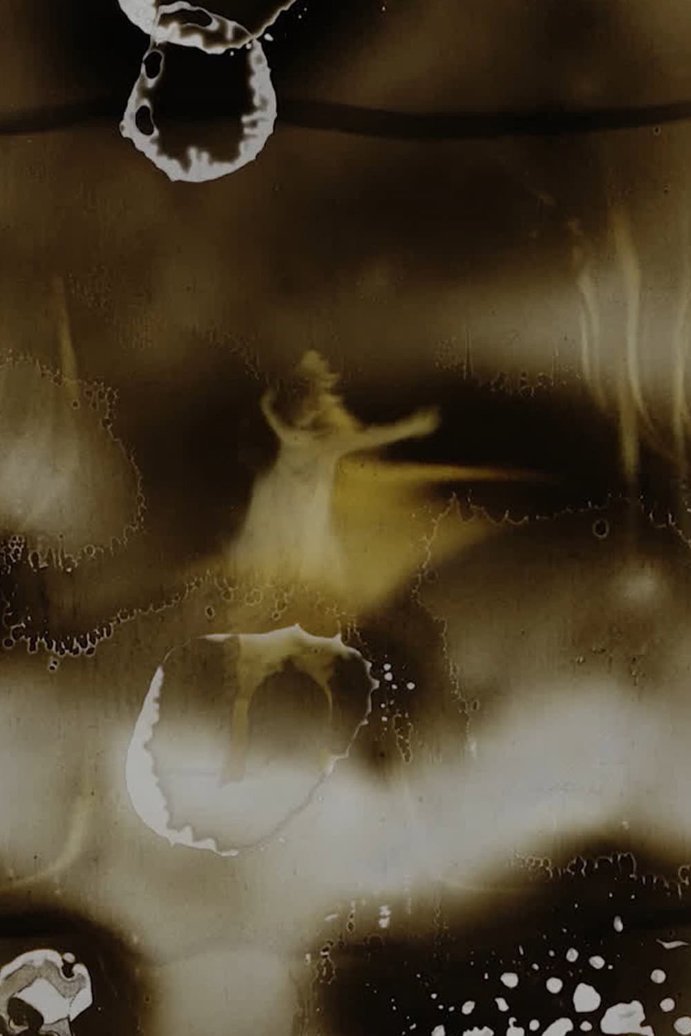 Wild Girl backdrop