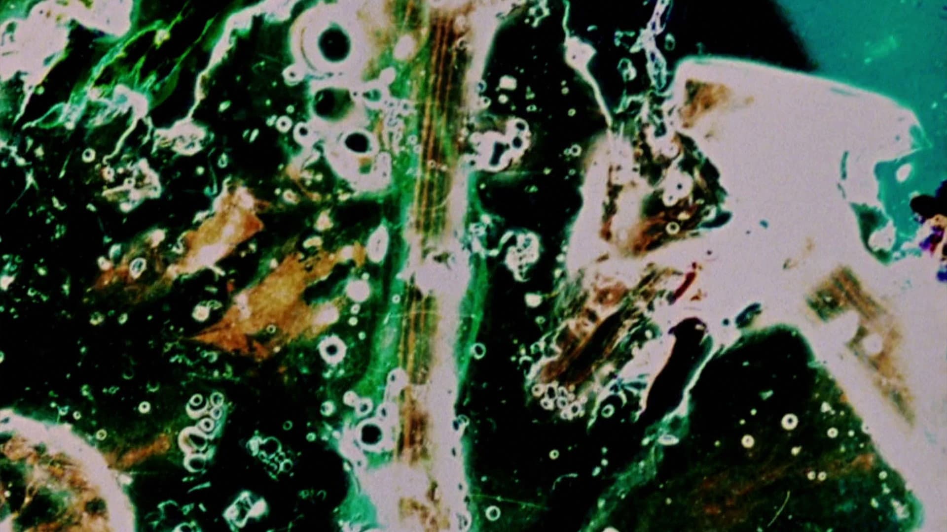 Delicacies of Molten Horror Synapse backdrop