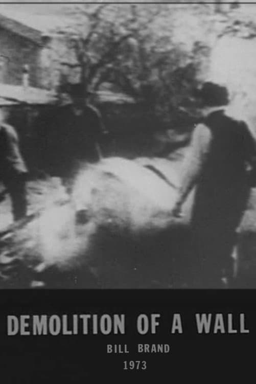 Demolition of a Wall backdrop