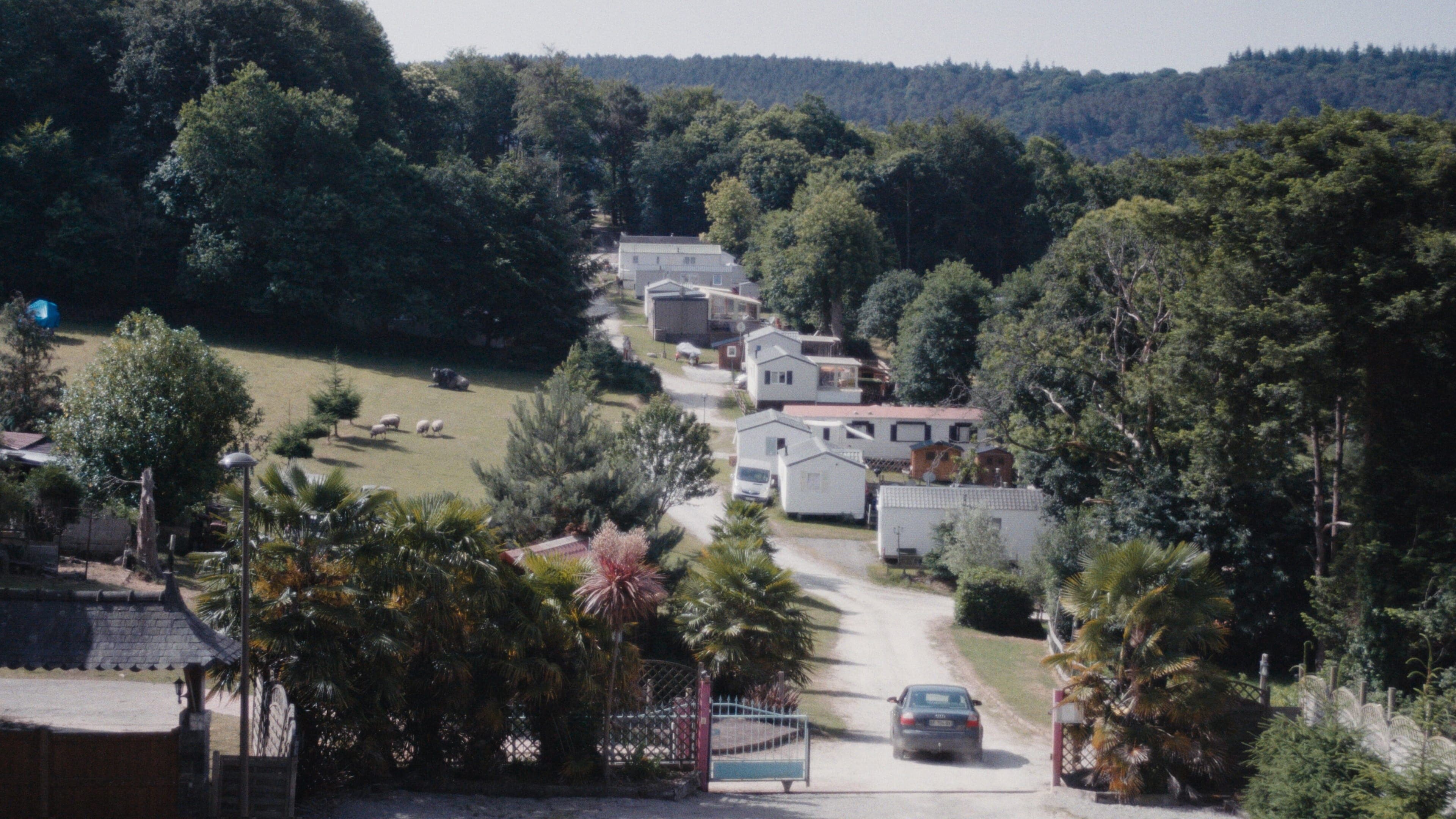 Camping du Lac backdrop