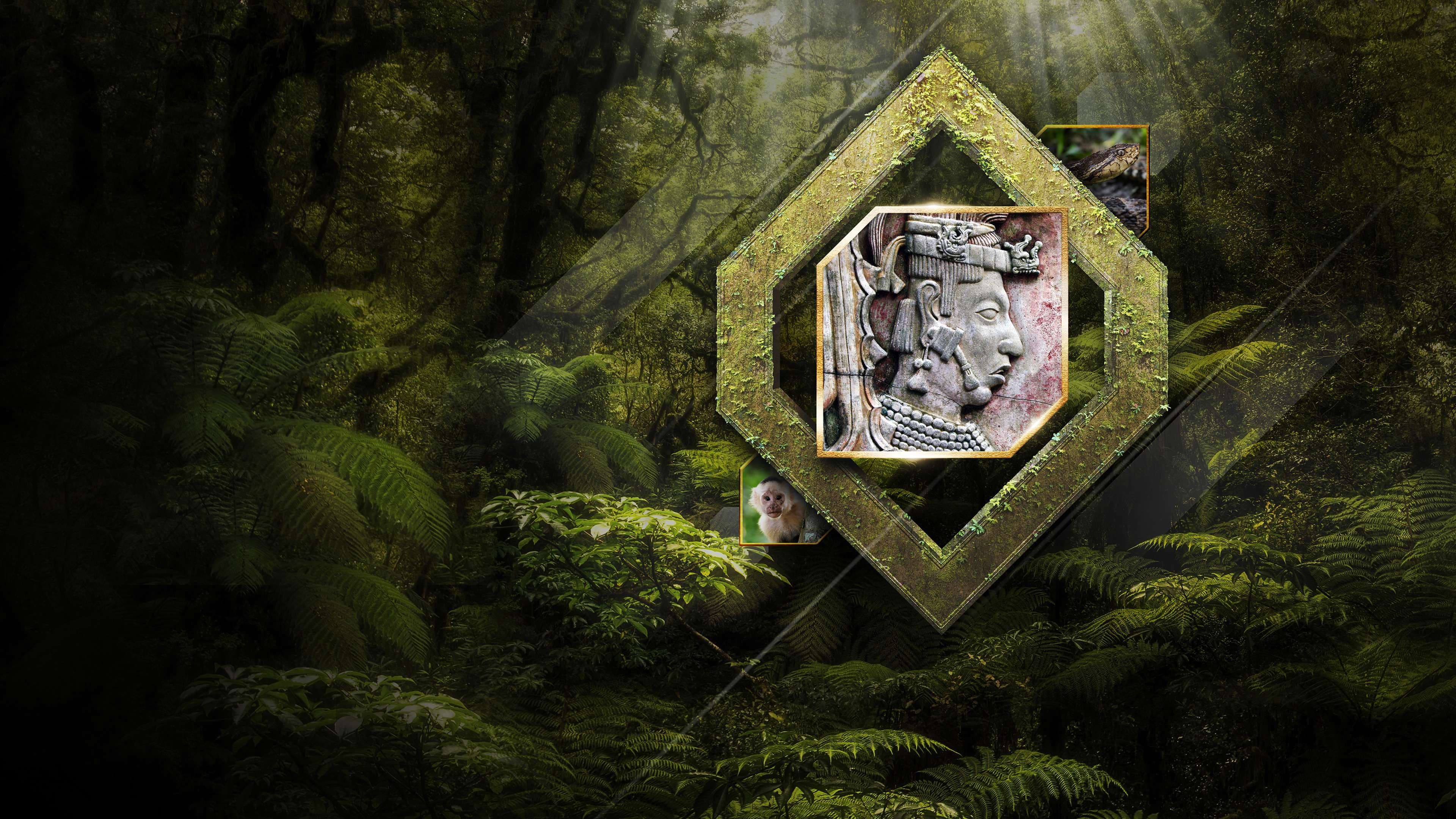 The Lost City of the Monkey God backdrop