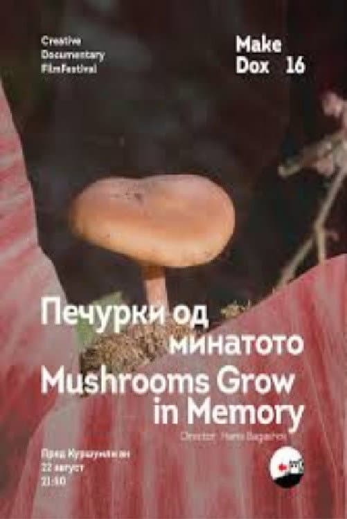 Mushrooms Grow in Memory backdrop