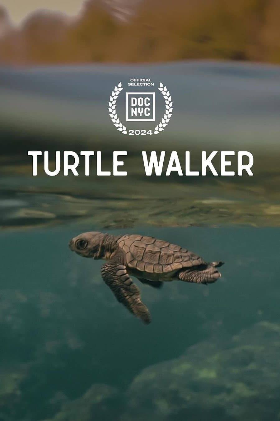 Turtle Walker backdrop