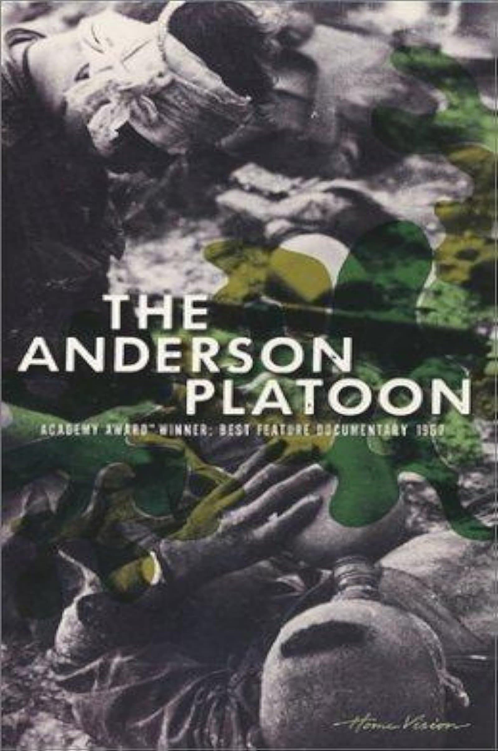 The Anderson Platoon backdrop
