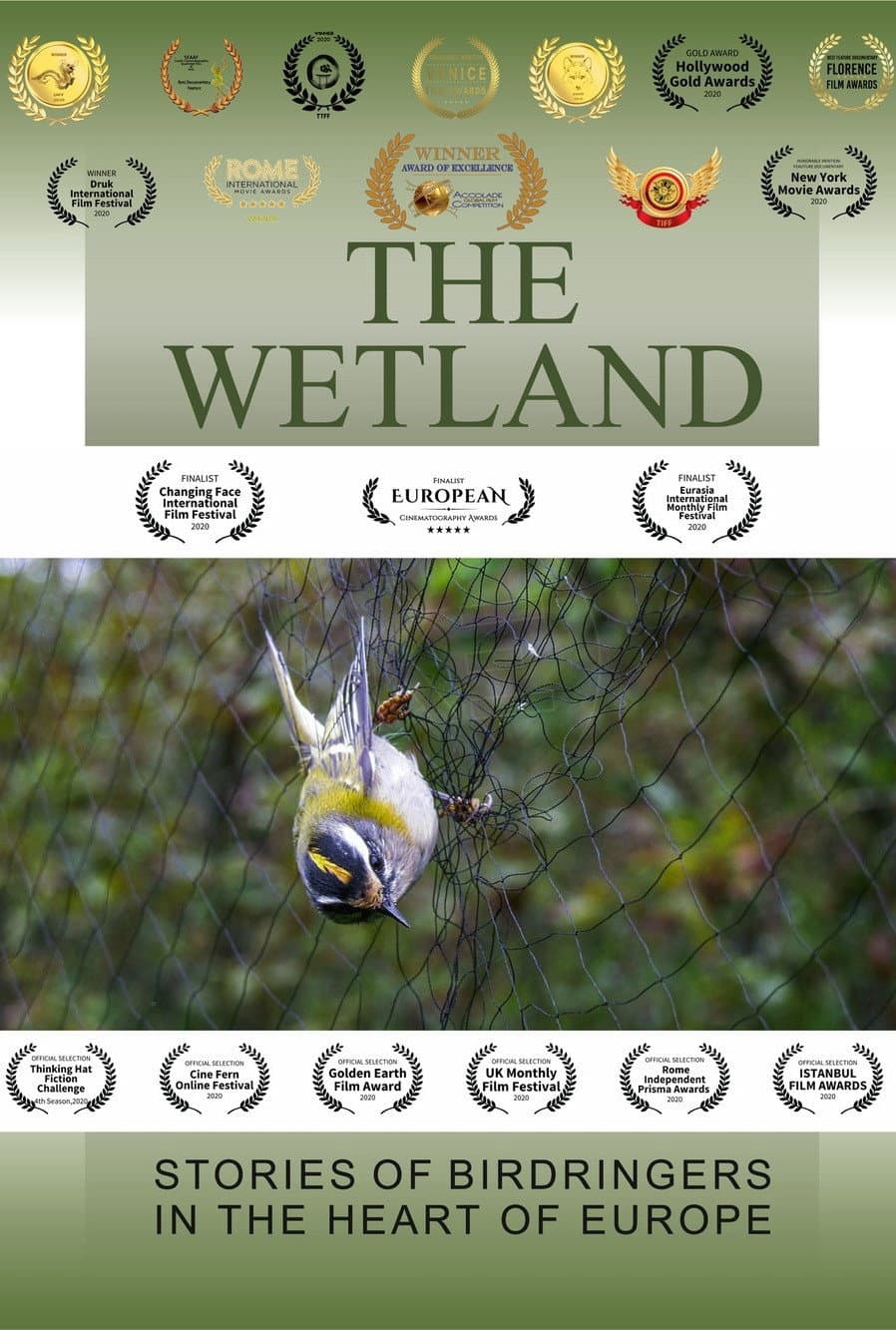 The Wetland backdrop