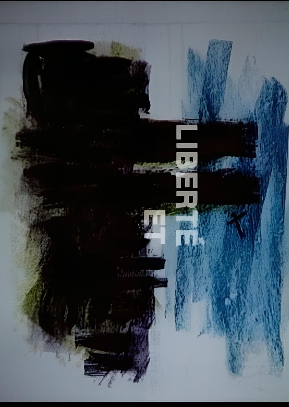 Liberty and Homeland backdrop