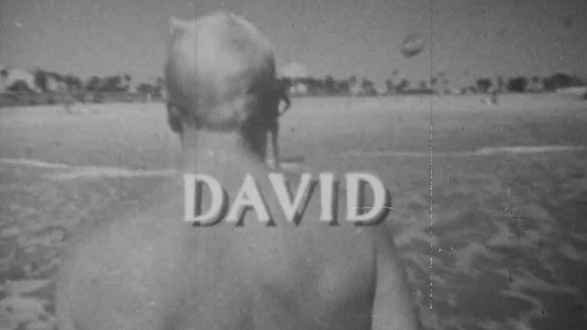 David backdrop