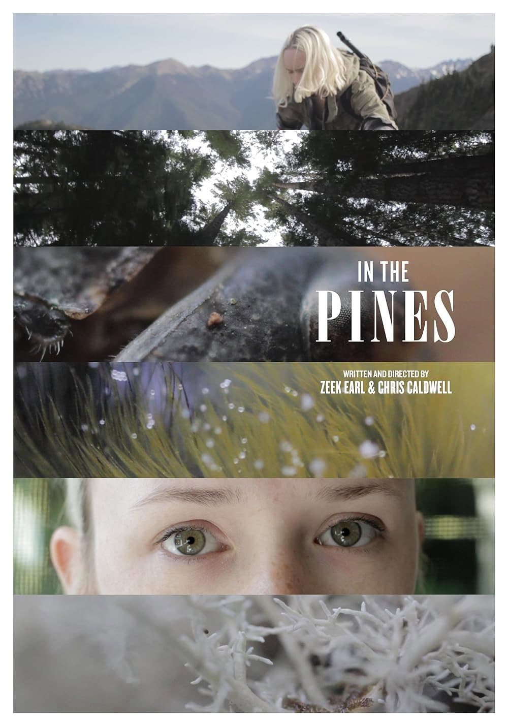 In the Pines backdrop