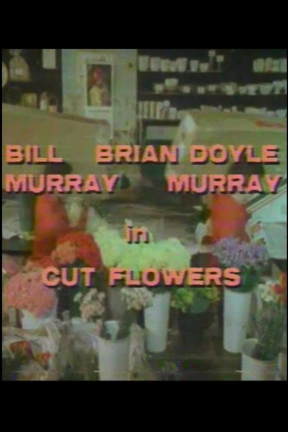 Cut Flowers backdrop